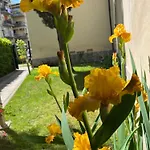 Terratetto Stile Toscano 15 min dal centro
