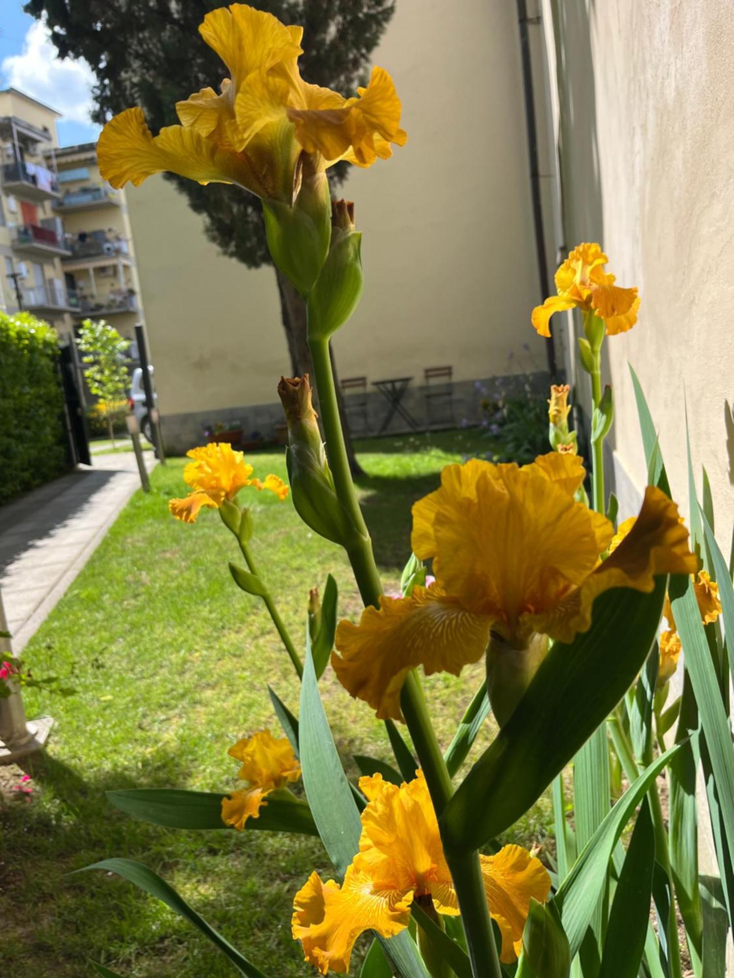 Apartment Dalu Davide - Private Car Park 15 Minutes To The Center *